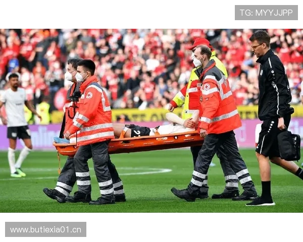 维尔茨伤病频率剖析：是否为玻璃体质的关键因素